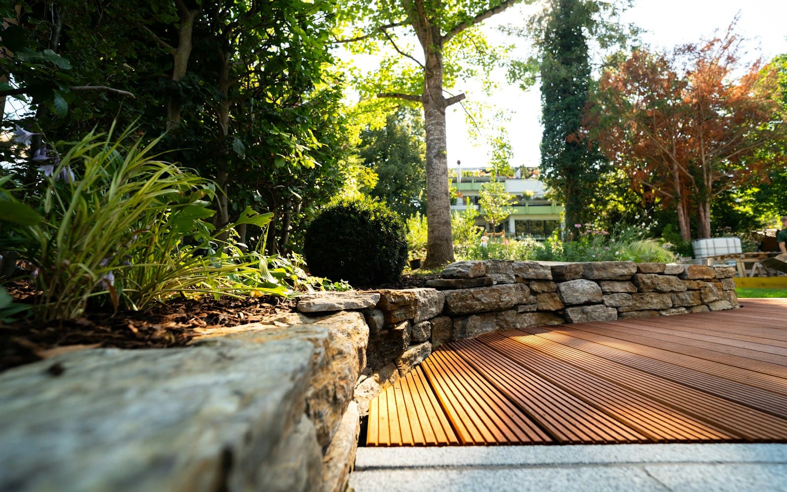 Landscaped garden with decking and planting